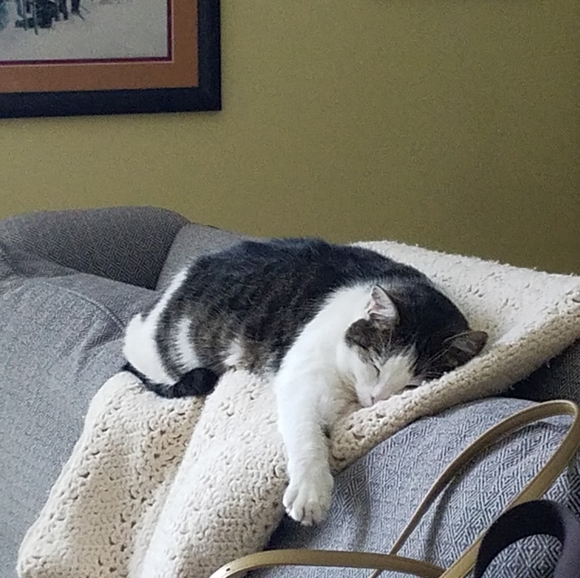 Meet your Posher, Wes - Picture 2 of 2